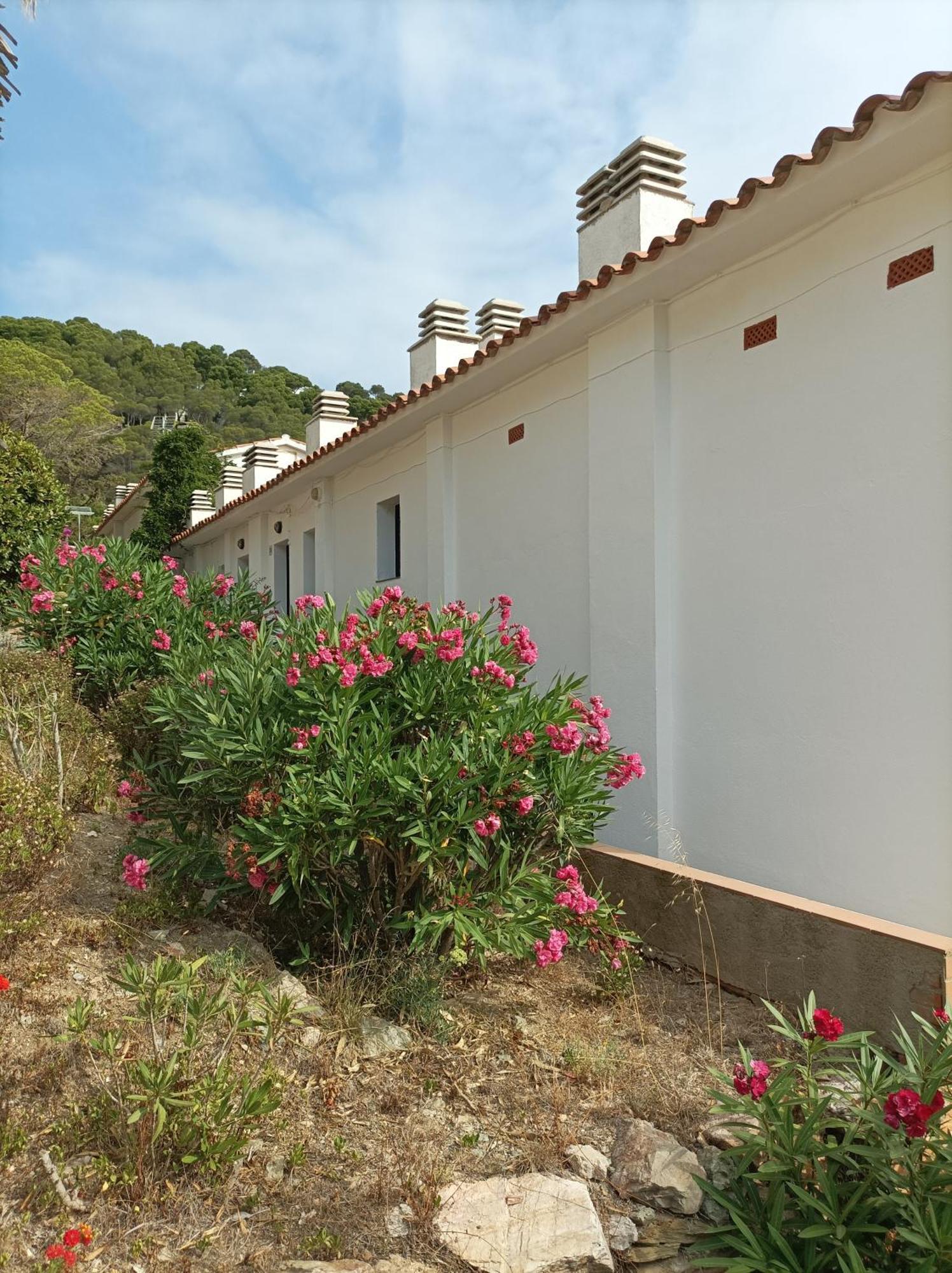 "Le Balcon De La Mer" Residence "Icaros"-Wifi-Piscine-Parking Begur Exterior photo